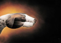 /album/fotos-incriveis/cobra-cachorro-jpg/